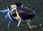Detail: MD Helicopters 500E