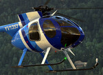 Detail: MD Helicopters 500E