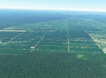 Peru - likvidace amozonských pralesů