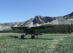 Yellowstone