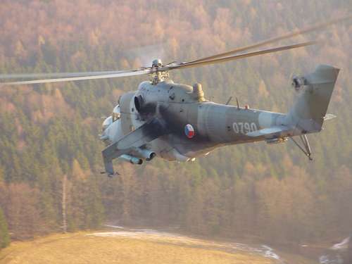 img_forumn/r28461_1.jpg (500x375)
