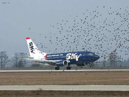 img_forumn/r30135_1.jpg (500x375)