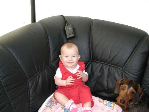 img_forumn/r35047_1.jpg (500x375)