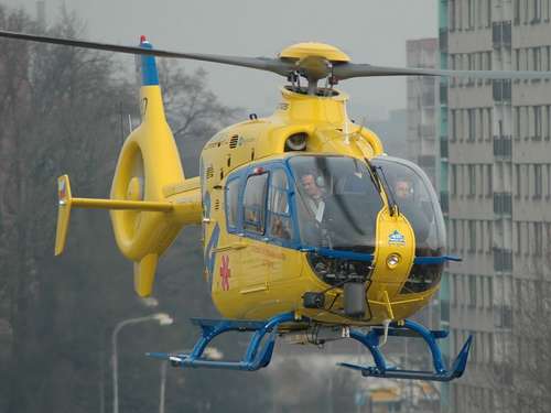 img_forumn/r44463_2.jpg (500x375)