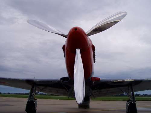 img_forumn/r55516_4.jpg (500x375)