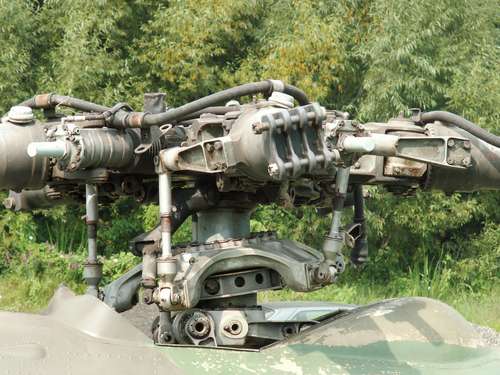 img_forumn/r64684_1.jpg (500x375)