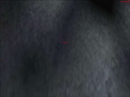 img_forumn/r68092_1.jpg (500x375)