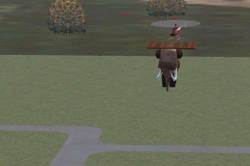 img_forumn/r73896_8.jpg (500x333)