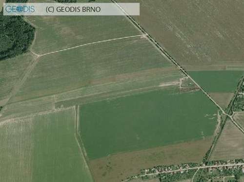 img_forumn/r82810_1.jpg (500x373)